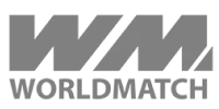 Visa partner logo